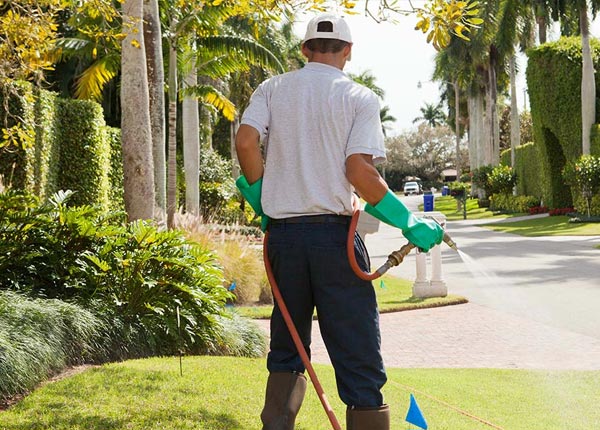About Kendall Park NJ Pest Control Pros